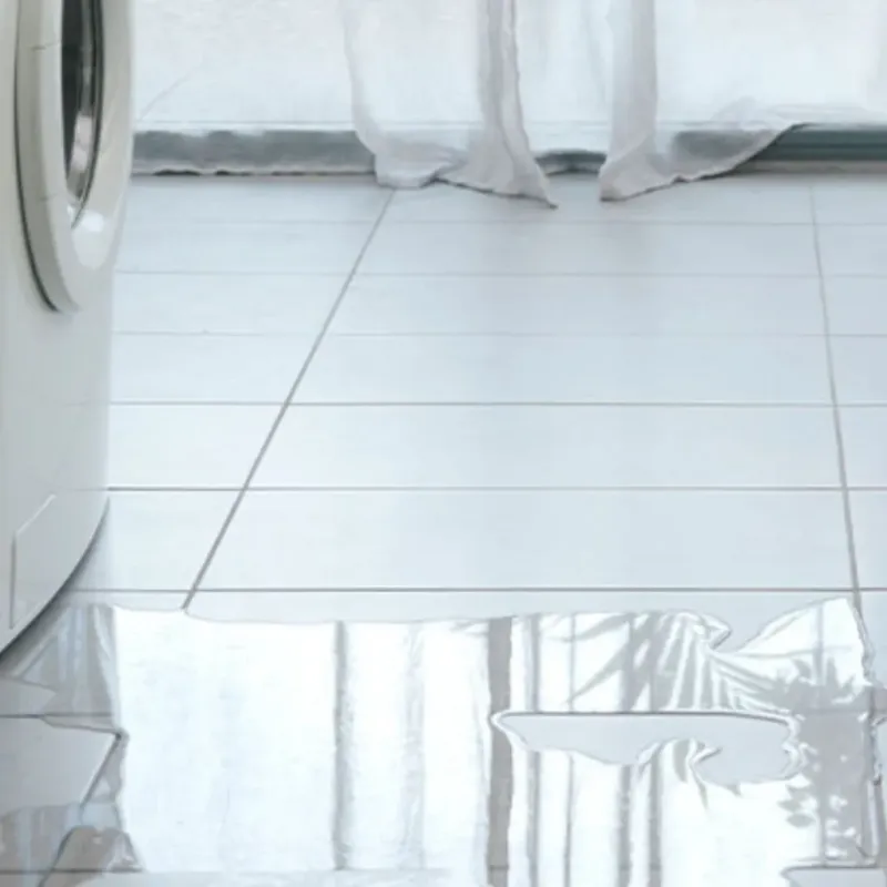 Appliance Leak Cleanup in Camillus, NY